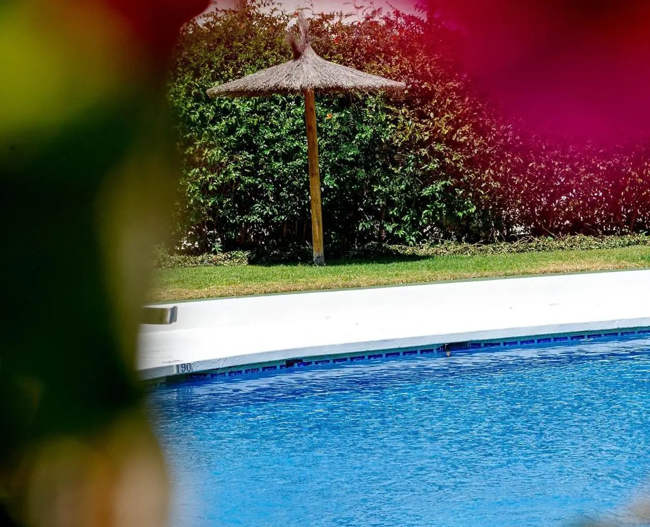 Estudio Con Hermosas Vistas بينالماذينا